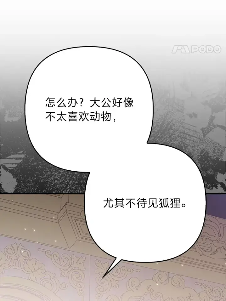 《大公家的狐狸皇女》4.我的狐狸图23