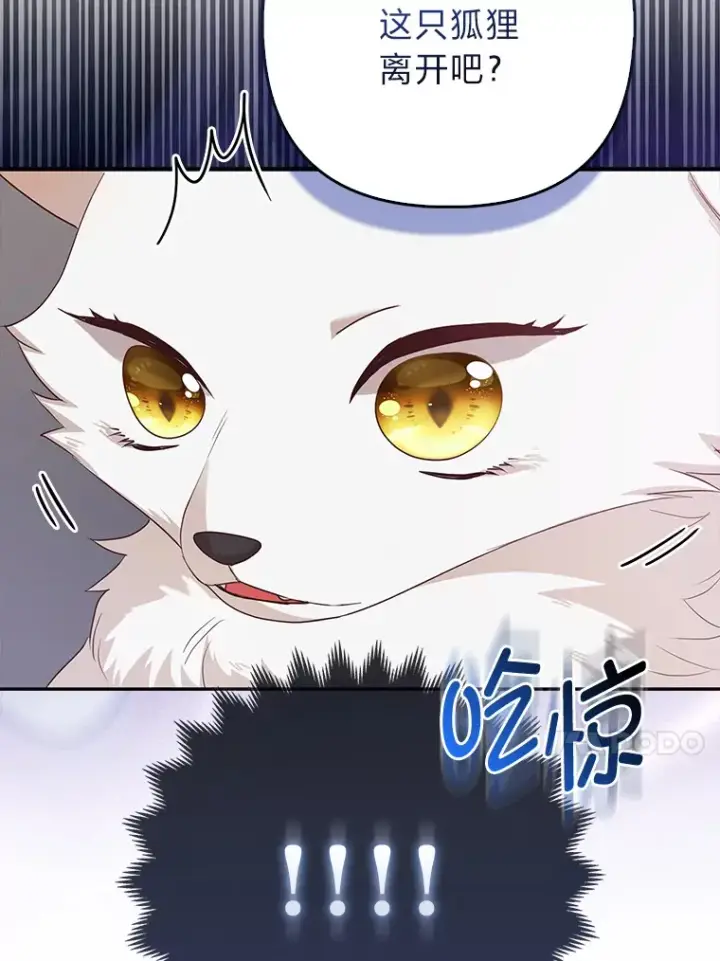 《大公家的狐狸皇女》4.我的狐狸图32