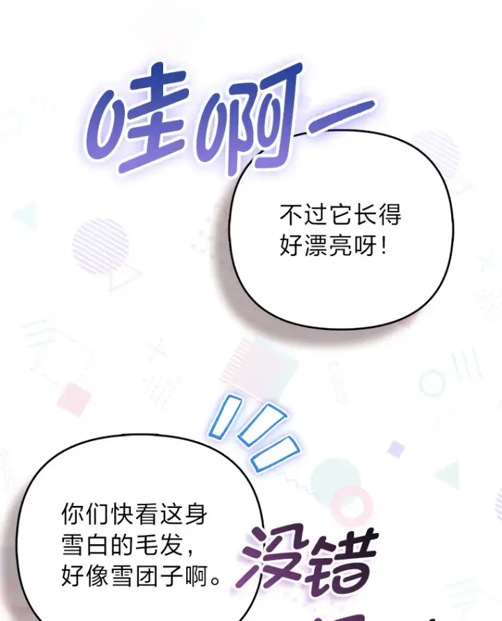 《大公家的狐狸皇女》4.我的狐狸图47