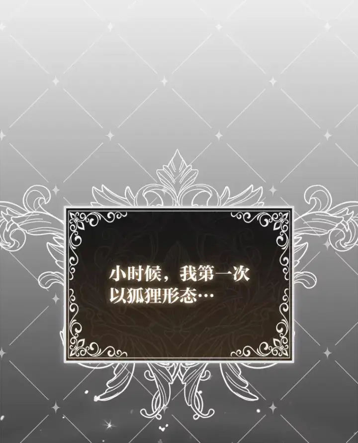 《大公家的狐狸皇女》4.我的狐狸图50