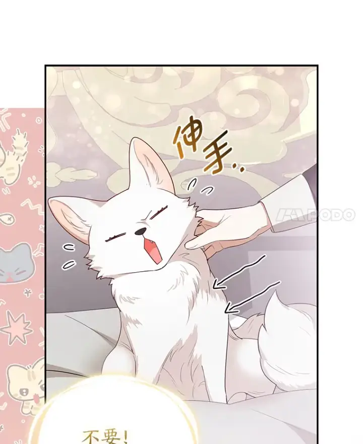 《大公家的狐狸皇女》4.我的狐狸图56