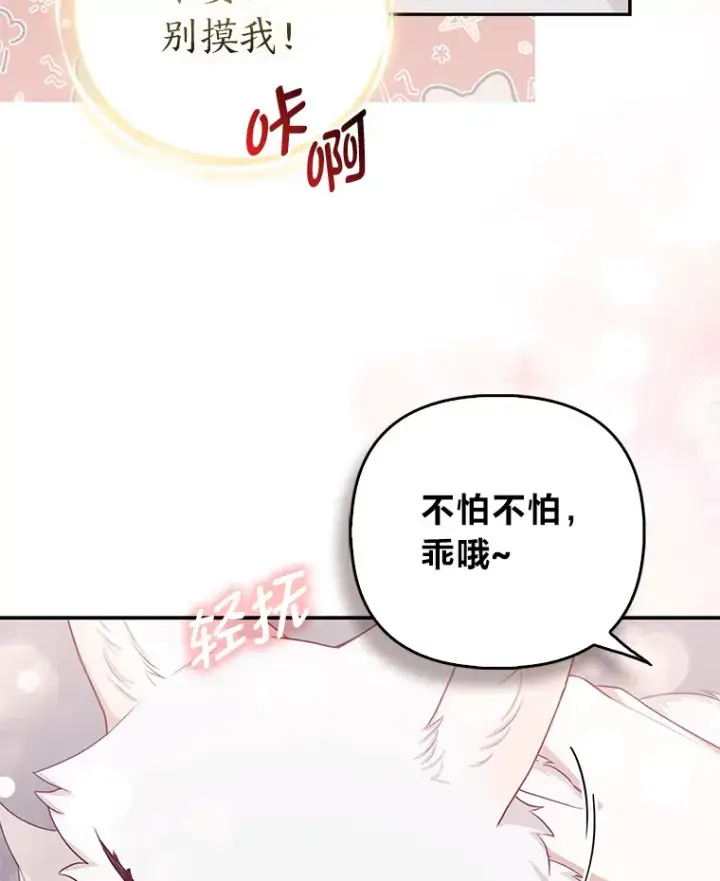 《大公家的狐狸皇女》4.我的狐狸图57