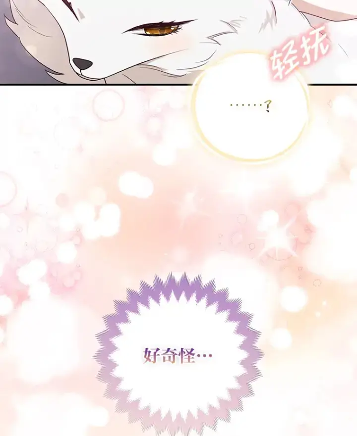 《大公家的狐狸皇女》4.我的狐狸图58