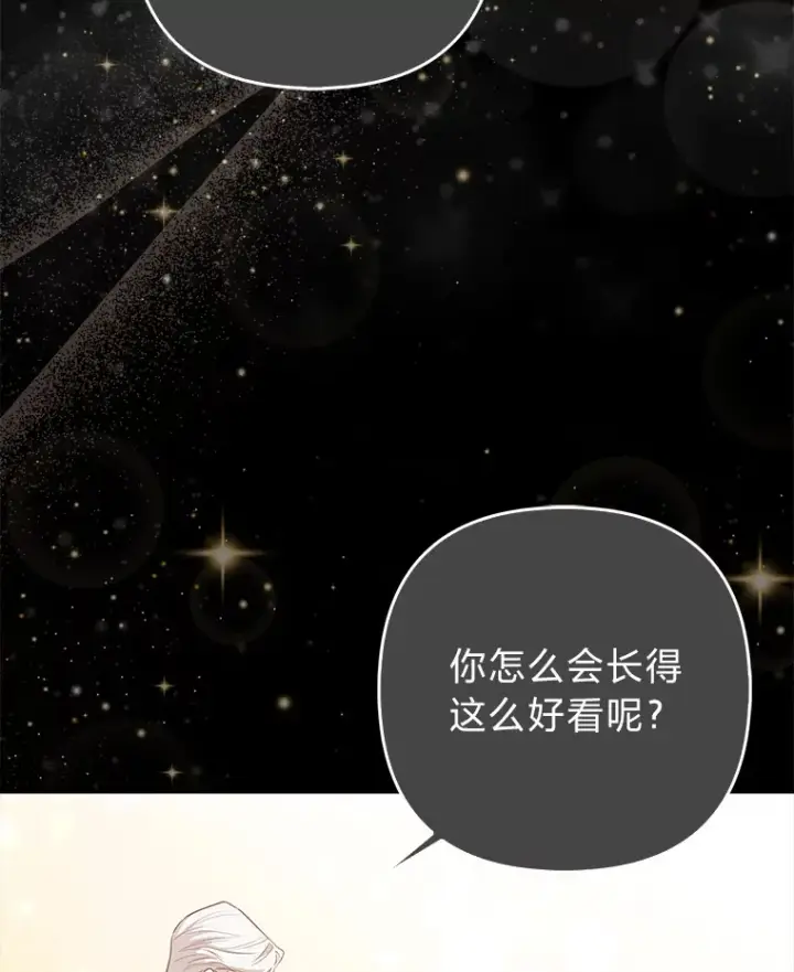 《大公家的狐狸皇女》4.我的狐狸图64