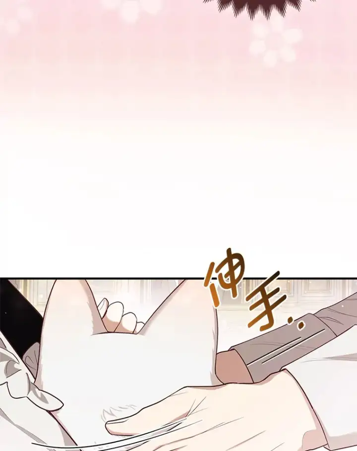 《大公家的狐狸皇女》4.我的狐狸图72