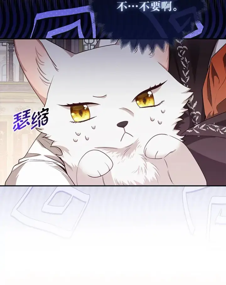 《大公家的狐狸皇女》4.我的狐狸图78