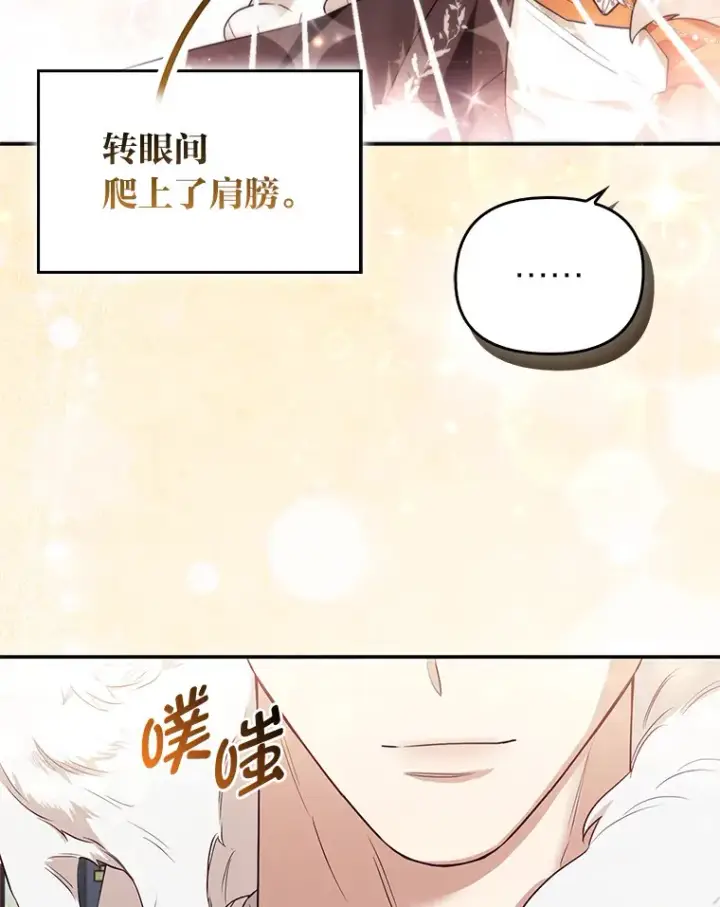 《大公家的狐狸皇女》4.我的狐狸图85