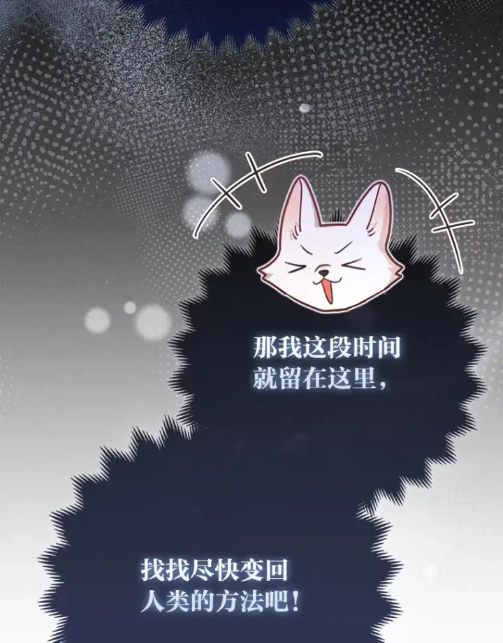《大公家的狐狸皇女》4.我的狐狸图95