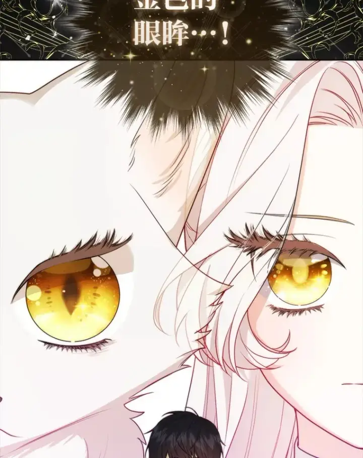 《大公家的狐狸皇女》6.早已洞察的大公图36