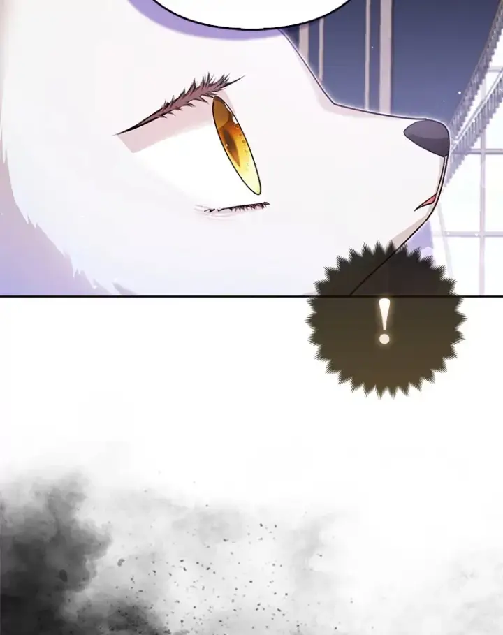 《大公家的狐狸皇女》6.早已洞察的大公图47