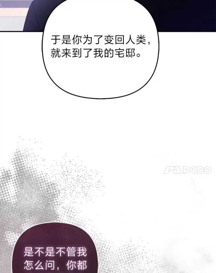 《大公家的狐狸皇女》6.早已洞察的大公图51