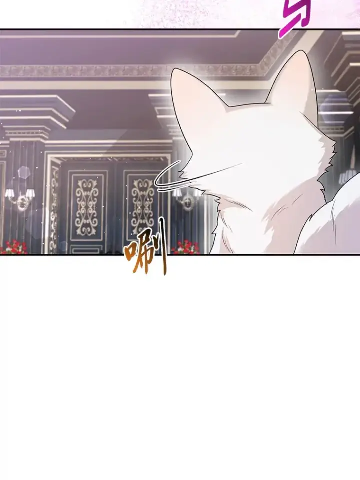 《大公家的狐狸皇女》6.早已洞察的大公图59