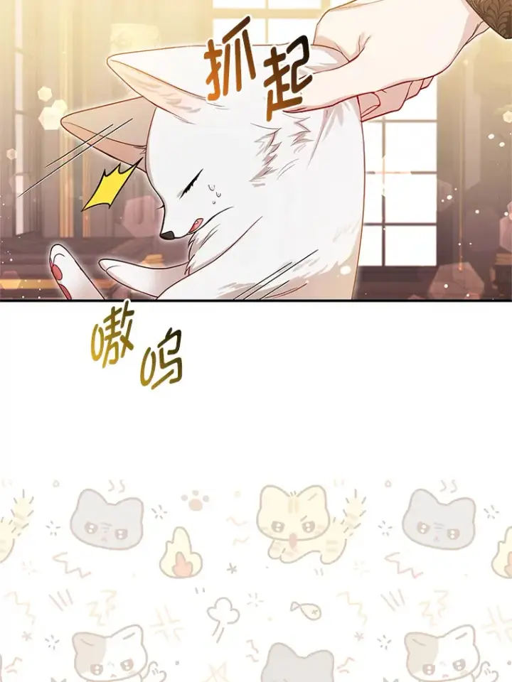 《大公家的狐狸皇女》8.傲娇大公图14