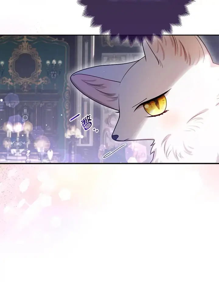 《大公家的狐狸皇女》9.化身乖巧小狐狸图28