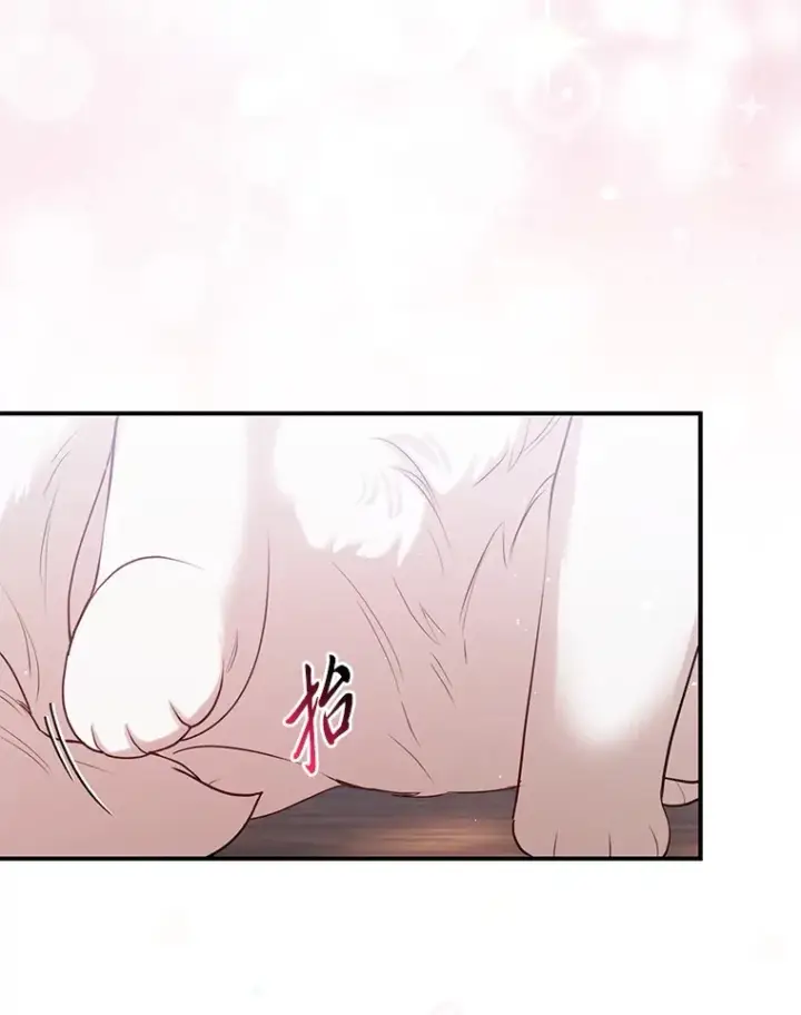 《大公家的狐狸皇女》9.化身乖巧小狐狸图76