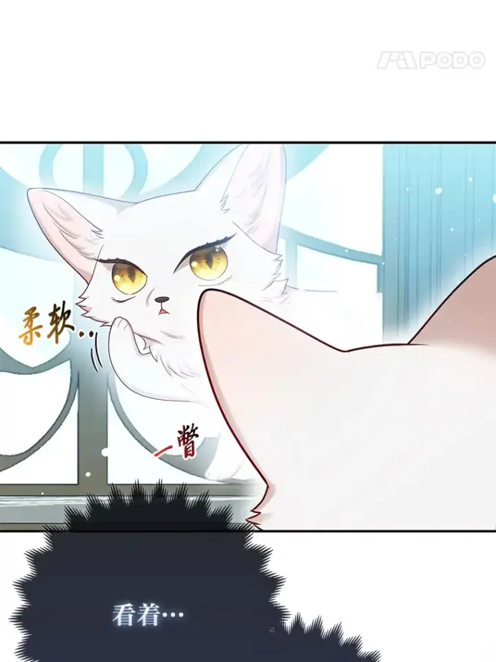 《大公家的狐狸皇女》10.侄子的请求图14
