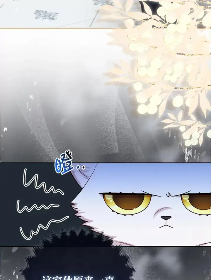《大公家的狐狸皇女》11.各自的朋友图12
