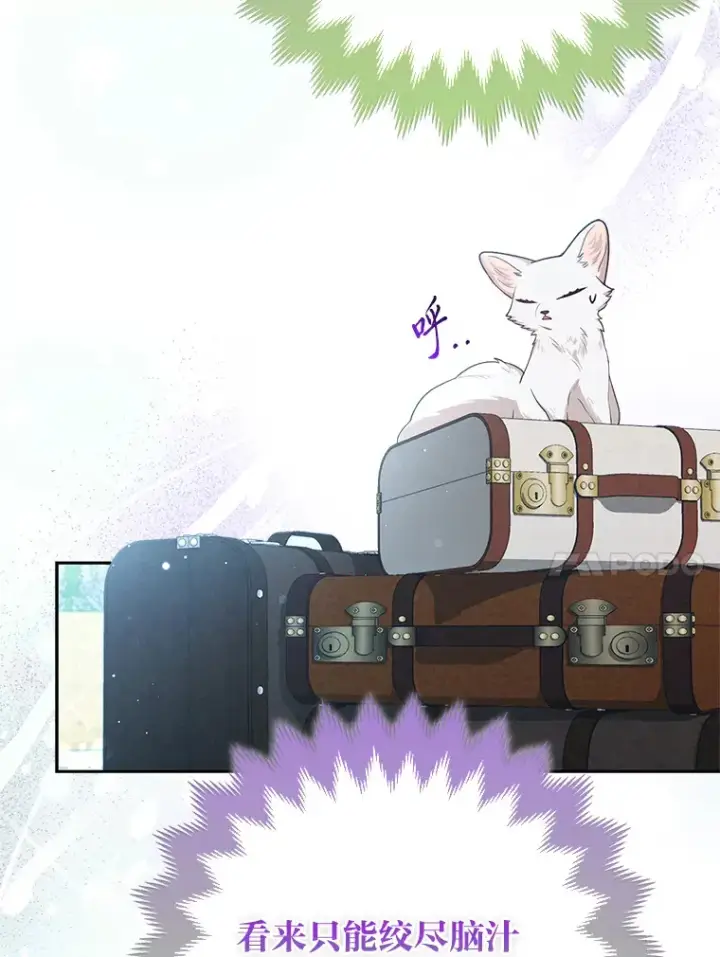 《大公家的狐狸皇女》11.各自的朋友图21