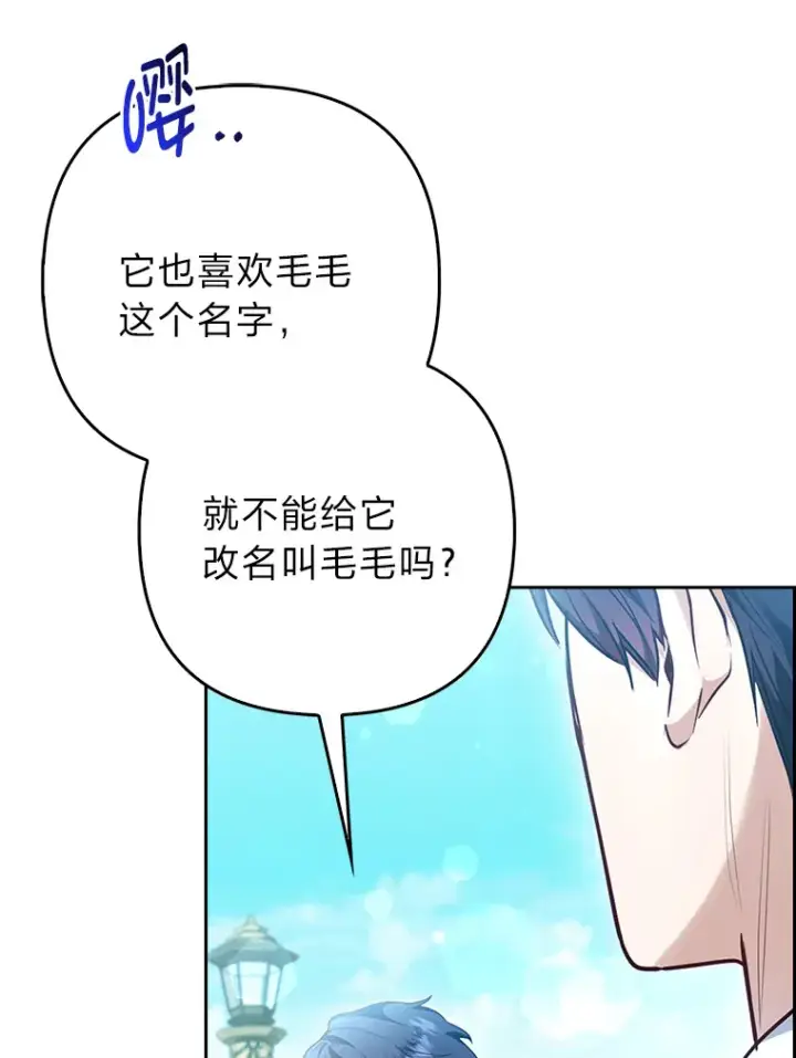 《大公家的狐狸皇女》11.各自的朋友图29