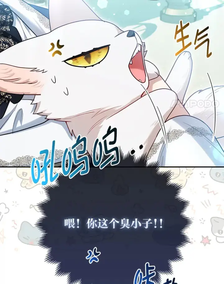 《大公家的狐狸皇女》11.各自的朋友图41