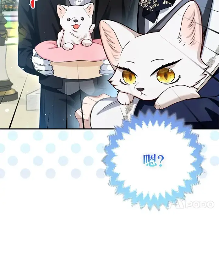 《大公家的狐狸皇女》11.各自的朋友图44