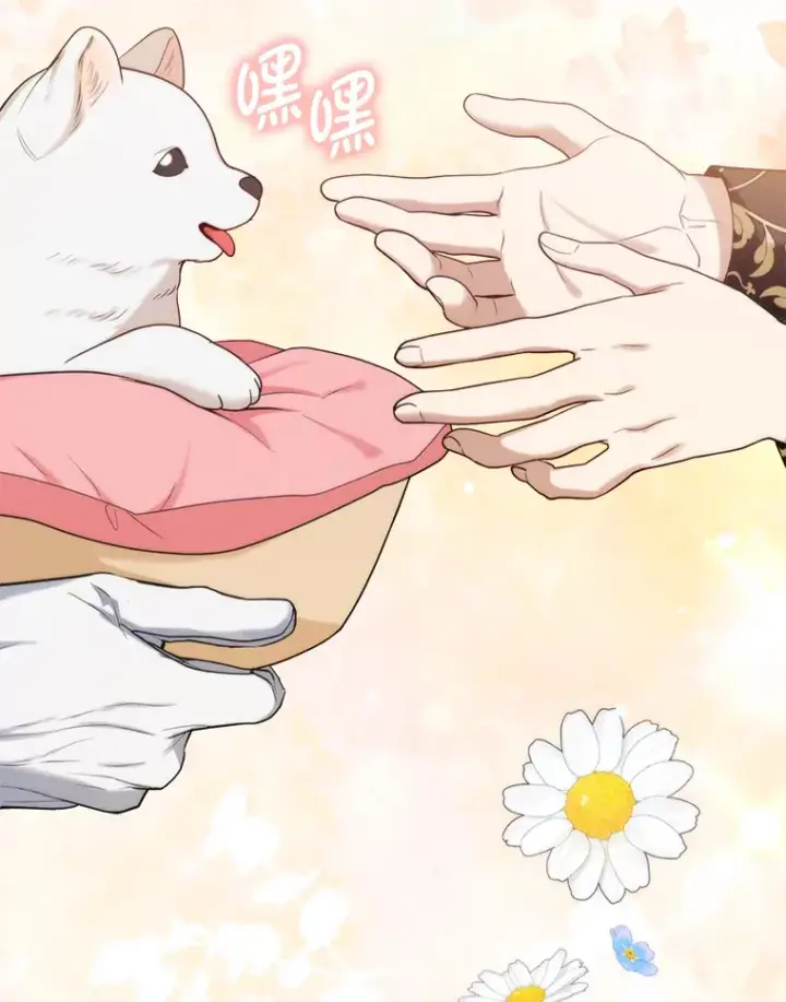 《大公家的狐狸皇女》11.各自的朋友图46