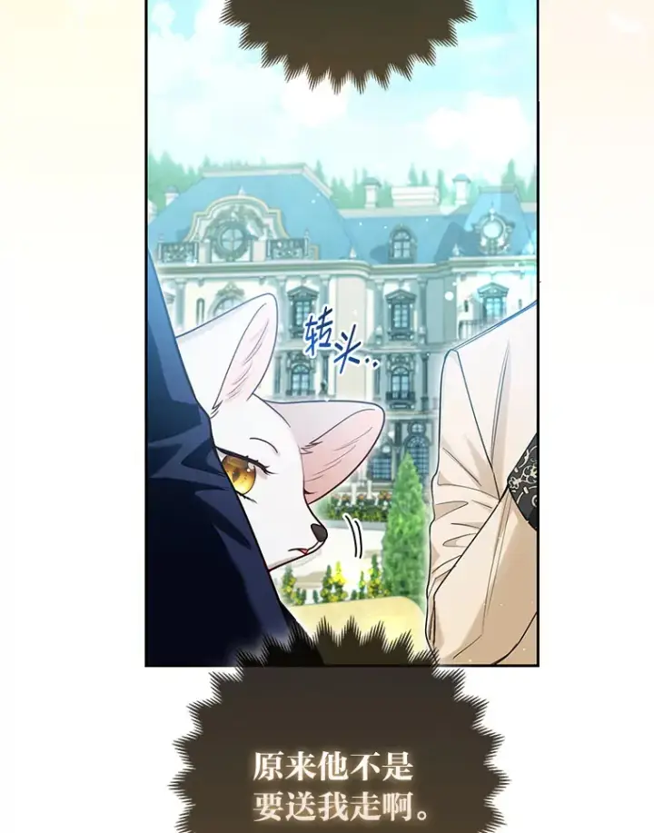 《大公家的狐狸皇女》11.各自的朋友图49