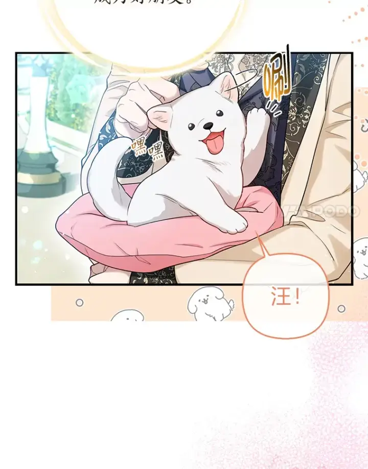 《大公家的狐狸皇女》11.各自的朋友图51