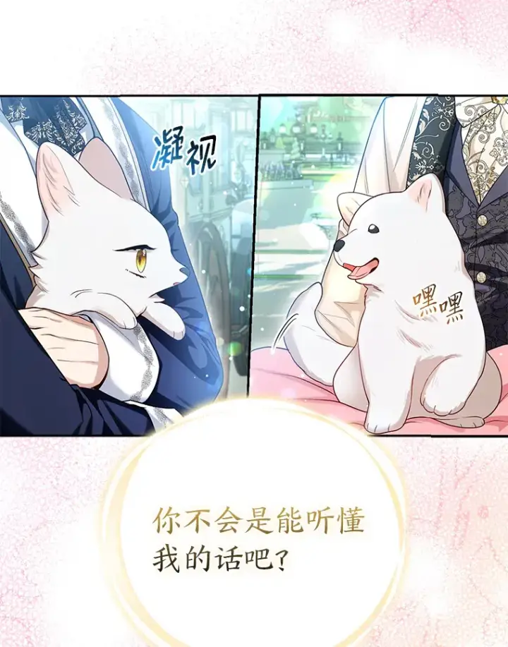 《大公家的狐狸皇女》11.各自的朋友图52