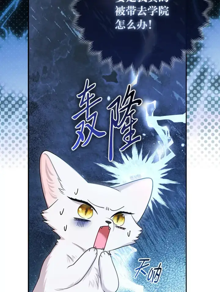 《大公家的狐狸皇女》11.各自的朋友图8
