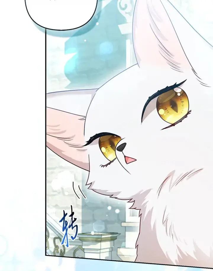 《大公家的狐狸皇女》11.各自的朋友图85