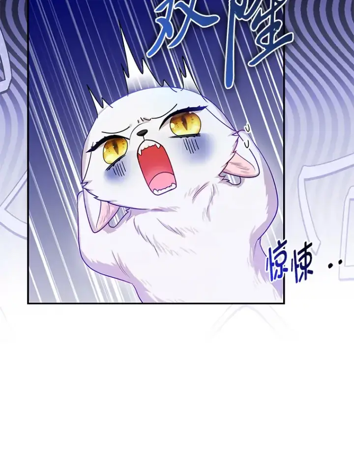 《大公家的狐狸皇女》11.各自的朋友图92