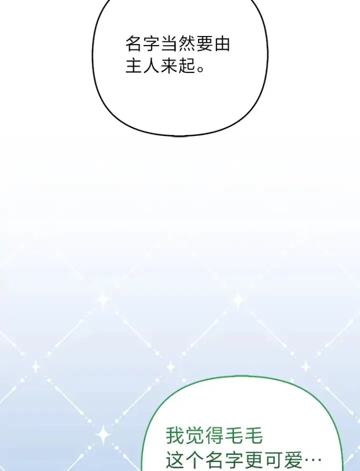 《大公家的狐狸皇女》11.各自的朋友图96