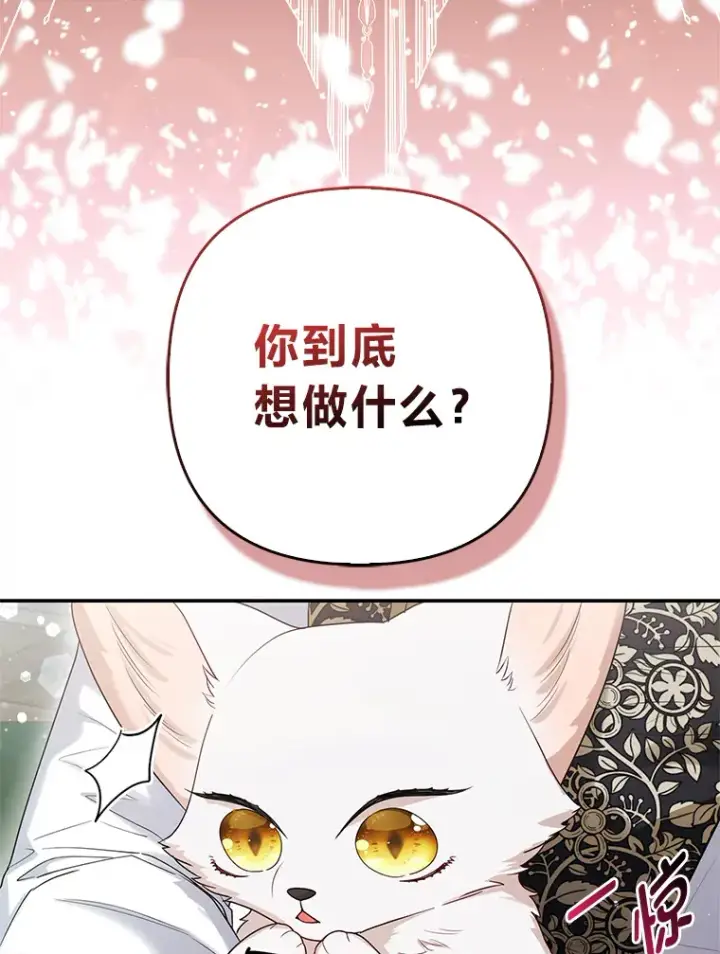 《大公家的狐狸皇女》12.狐狸的撒娇卖萌图100