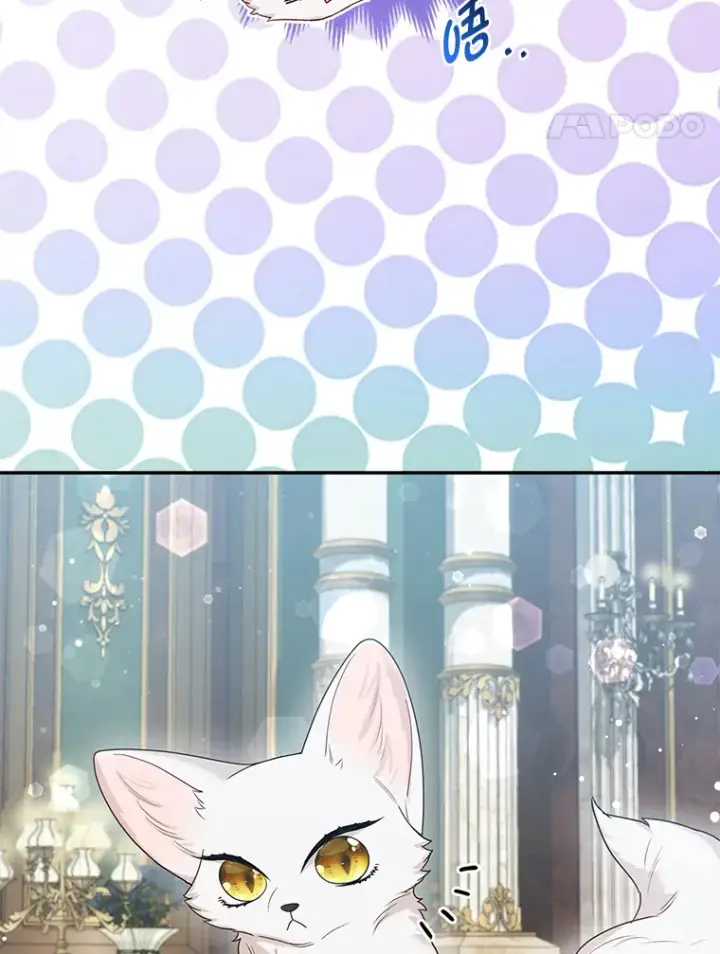 《大公家的狐狸皇女》12.狐狸的撒娇卖萌图109