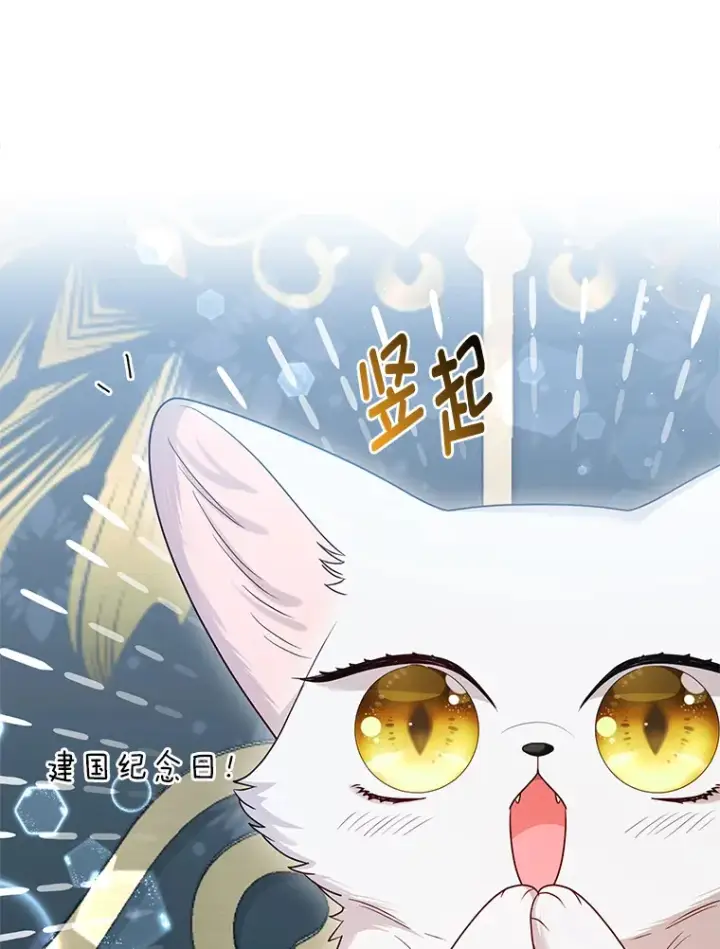 《大公家的狐狸皇女》12.狐狸的撒娇卖萌图6