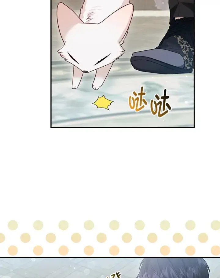 《大公家的狐狸皇女》12.狐狸的撒娇卖萌图70