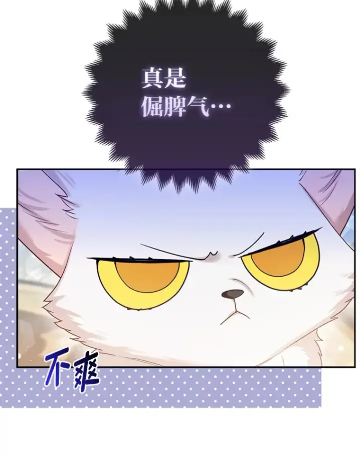 《大公家的狐狸皇女》12.狐狸的撒娇卖萌图72