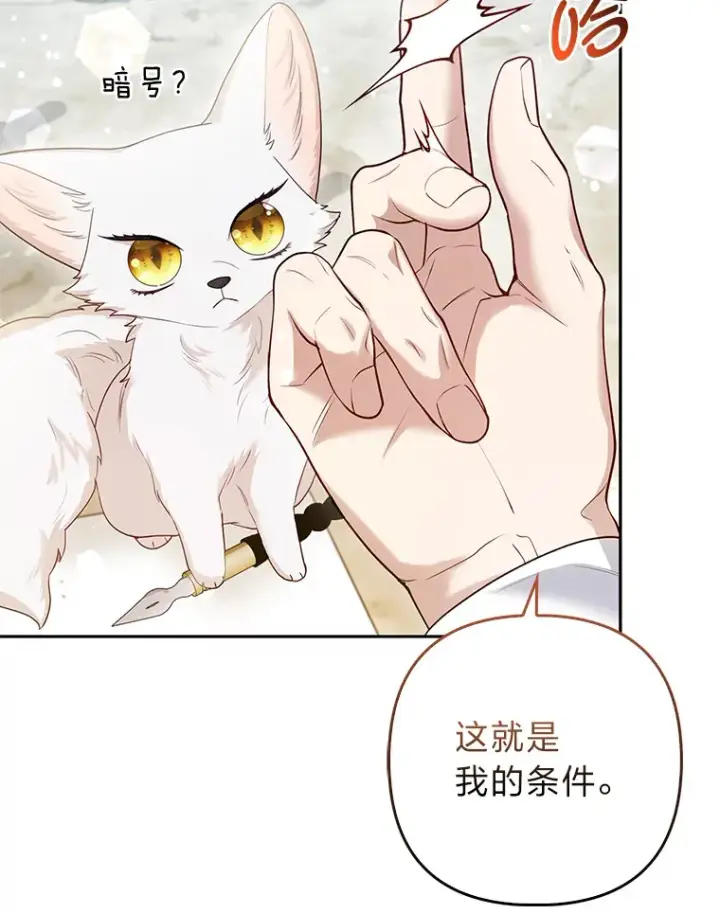 《大公家的狐狸皇女》13.宴会前的准备图13