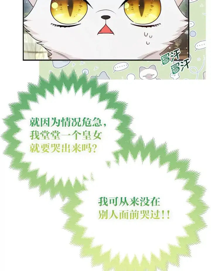 《大公家的狐狸皇女》13.宴会前的准备图19