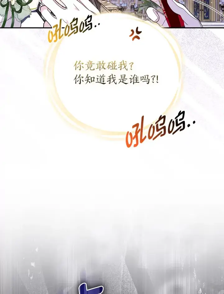 《大公家的狐狸皇女》14.建国纪念日图63