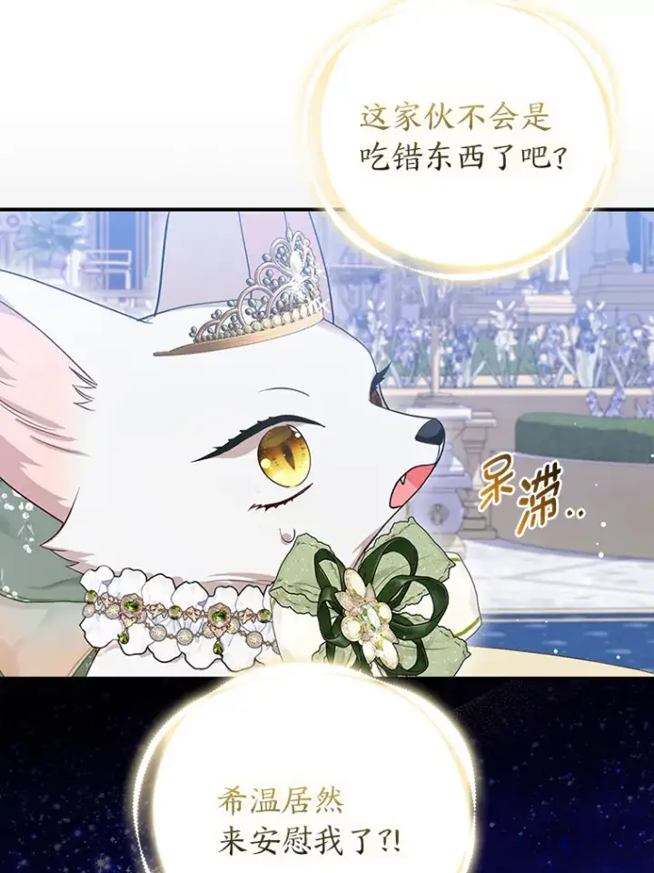 《大公家的狐狸皇女》15.一反常态图68