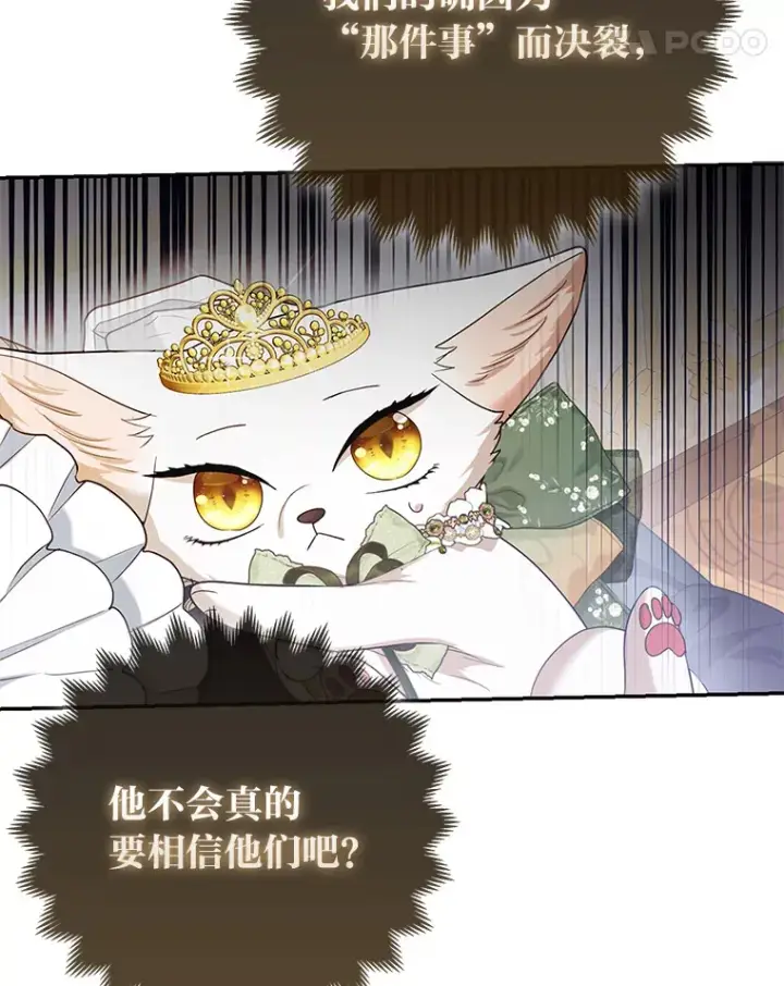 《大公家的狐狸皇女》16.阿祖尔迪夫妇图104