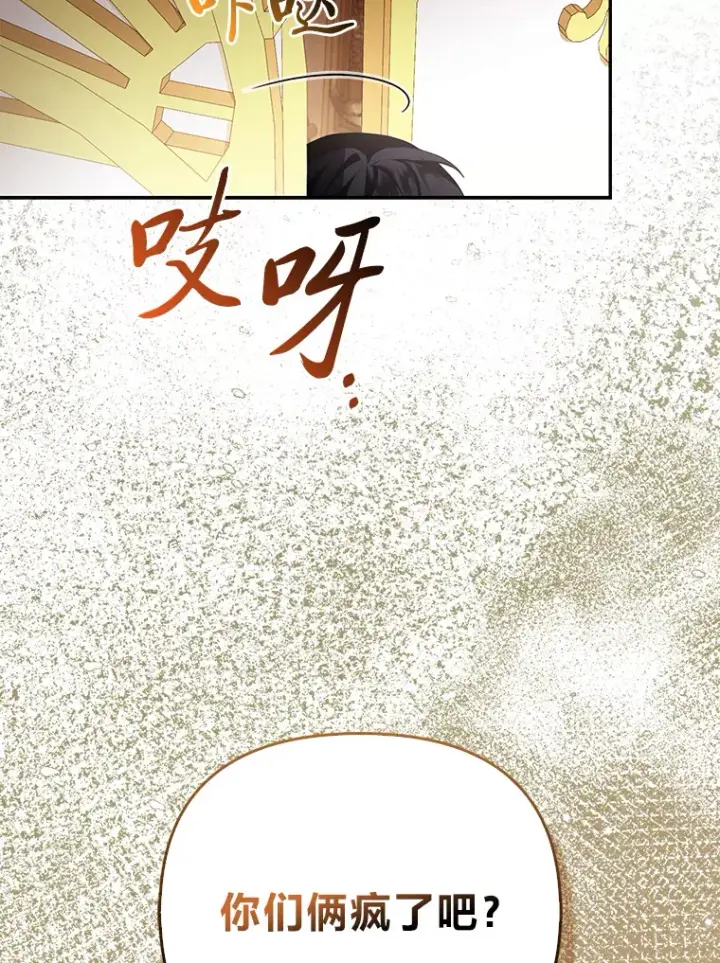 《大公家的狐狸皇女》16.阿祖尔迪夫妇图12