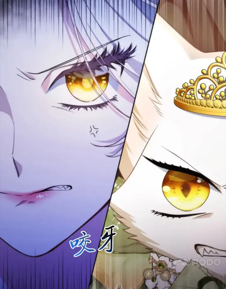 《大公家的狐狸皇女》16.阿祖尔迪夫妇图120