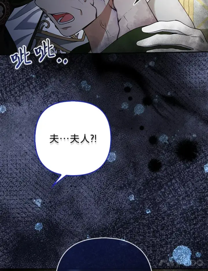 《大公家的狐狸皇女》16.阿祖尔迪夫妇图78