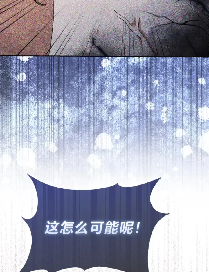 《大公家的狐狸皇女》16.阿祖尔迪夫妇图83