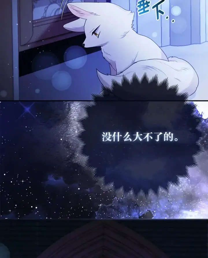 《大公家的狐狸皇女》17.真相图96