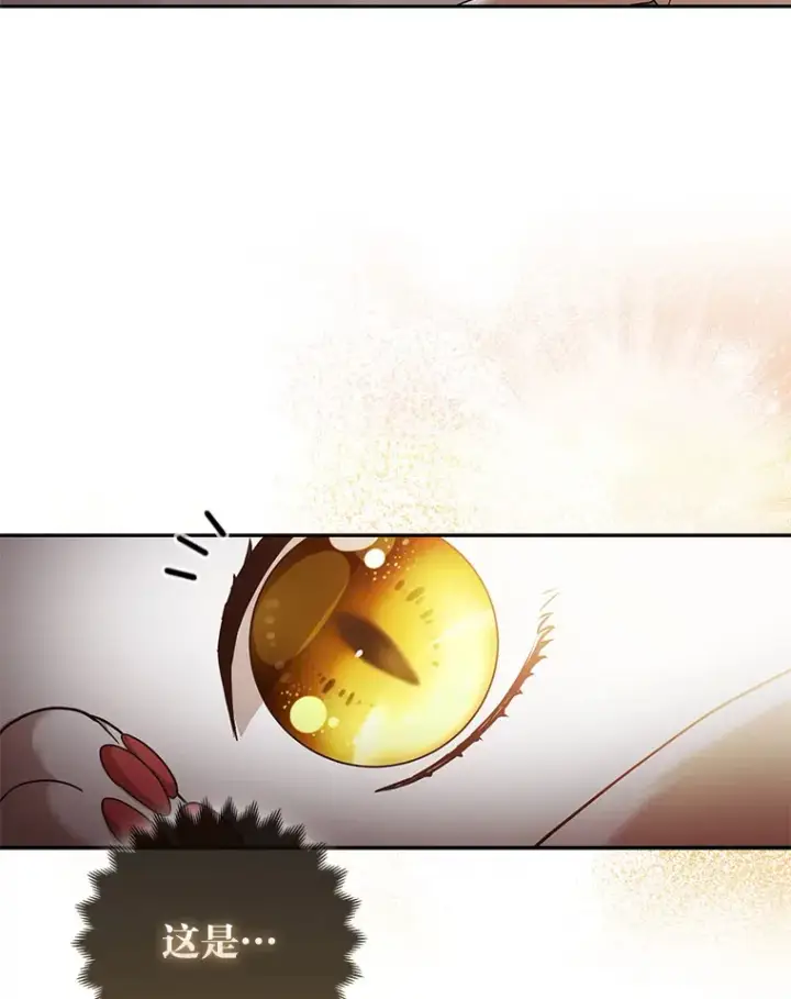 《大公家的狐狸皇女》18.小情侣闹别扭图38