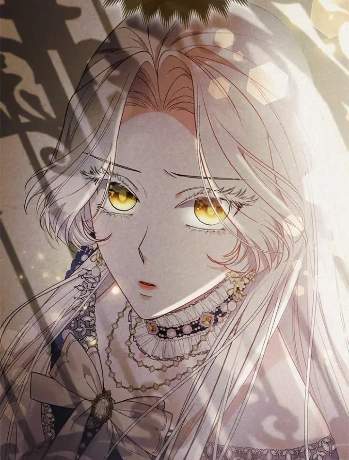 《大公家的狐狸皇女》19.另有隐情图43